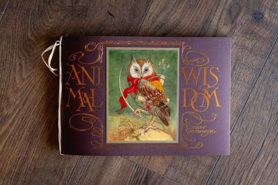 Animal Wisdom Fine Art Book by Charles Van Sandwyk