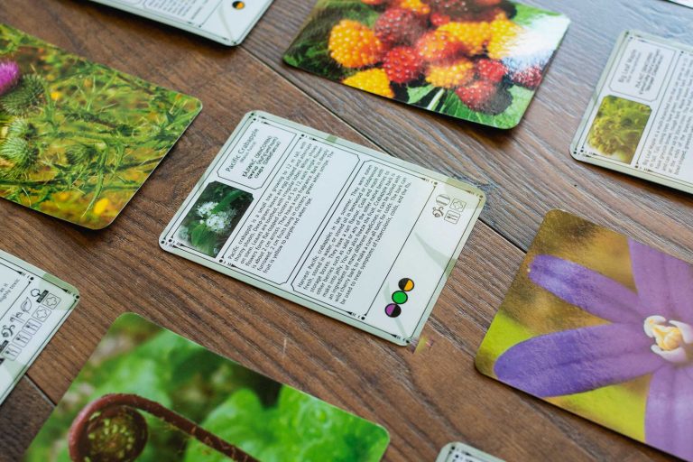 Pacific Northwest Plant Knowledge Cards by Strong Nations